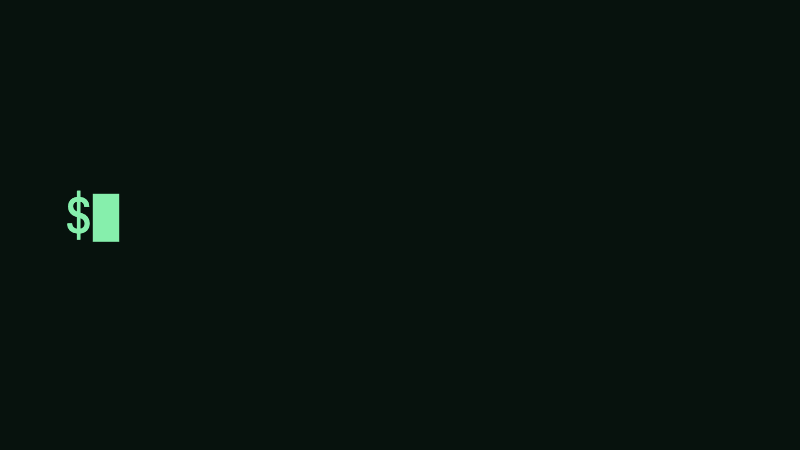 Terminal animation: A command prompt, monospace text and a block cursor.